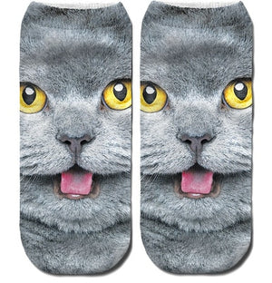3D Printing Cats Socks