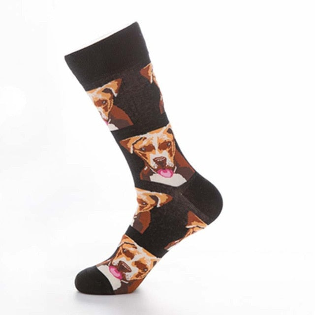Cute Dogs Socks